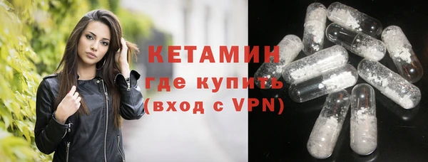 стаф Верея