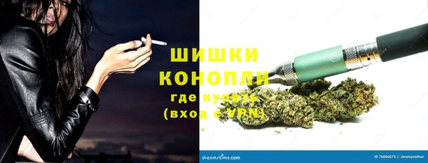 прущие грибы Верхнеуральск