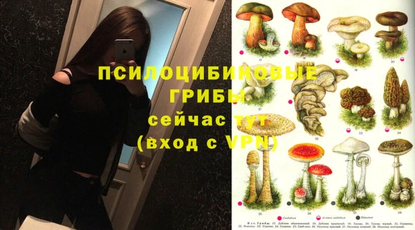 стаф Верея
