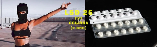 стаф Верея
