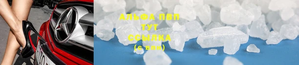 стаф Верея