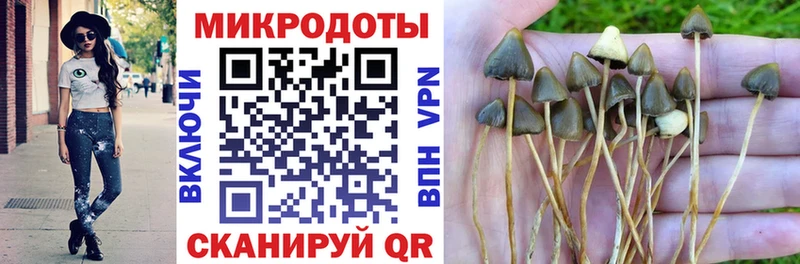 Купить где  Правдинск  Галлюциногенные грибы прущие грибы 